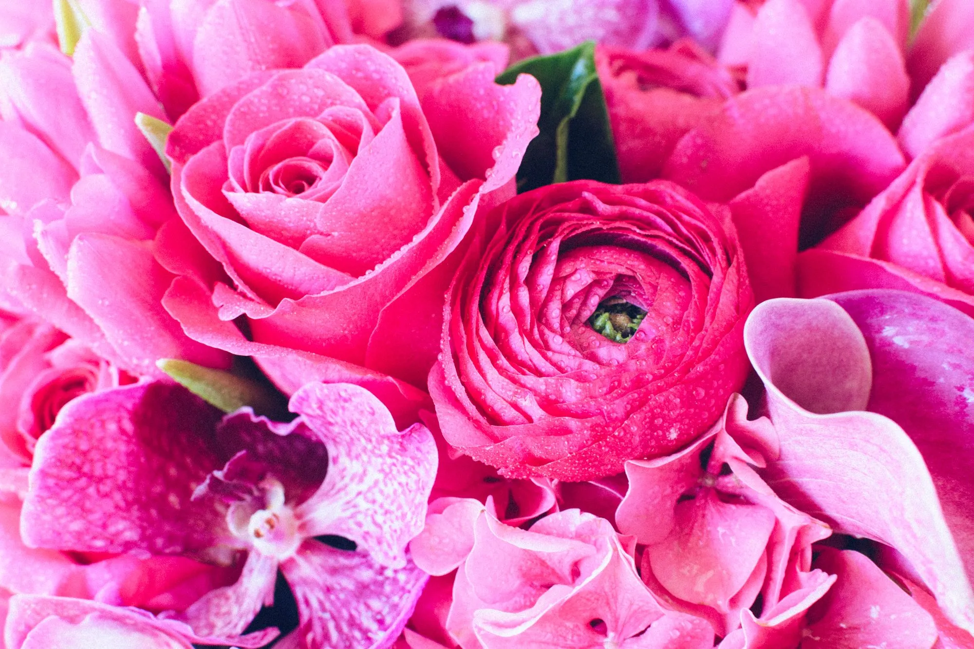 Hot Pink Romance