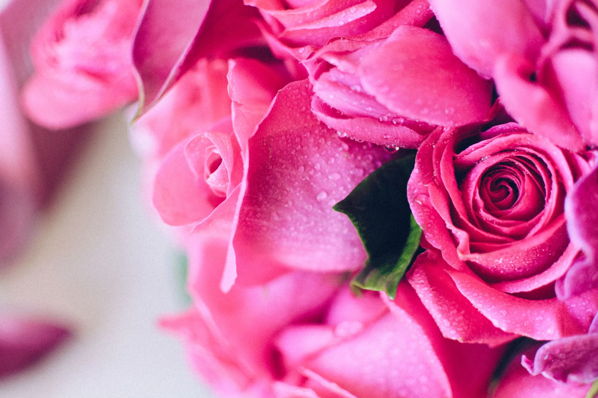 Hot Pink Romance